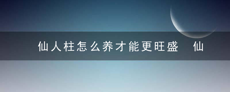 仙人柱怎么养才能更旺盛 仙人柱如何养护长得旺